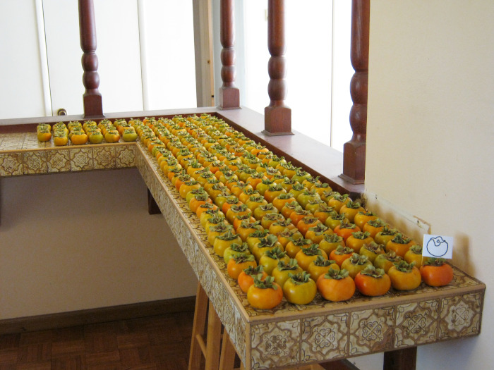 Persimmon Army